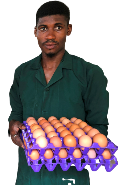 Duduregbe poultry farm Nigeria