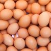 Buy egg online duduregbe farms