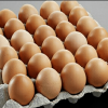 Buy egg online